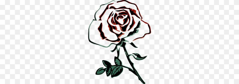 Rose Flower, Plant, Art, Graphics Free Transparent Png