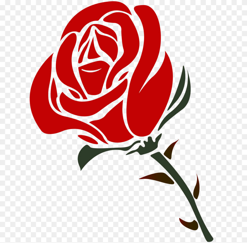 Rose, Flower, Plant, Adult, Female Free Png