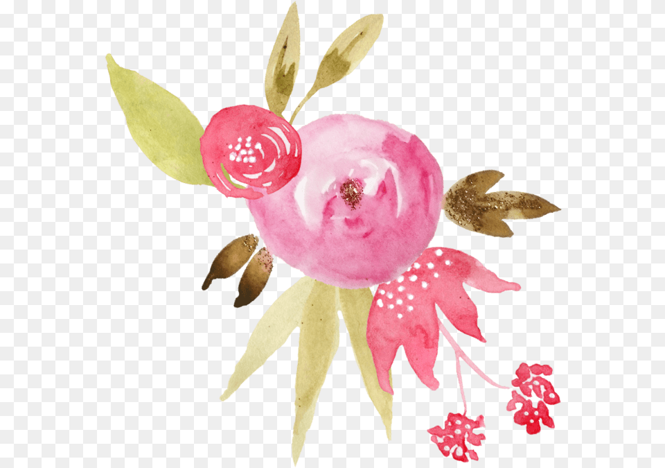 Rose, Plant, Flower, Art, Pattern Free Transparent Png
