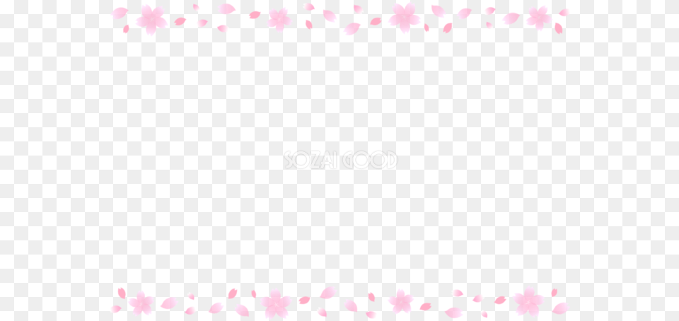 Rose, Flower, Petal, Plant, Blackboard Png