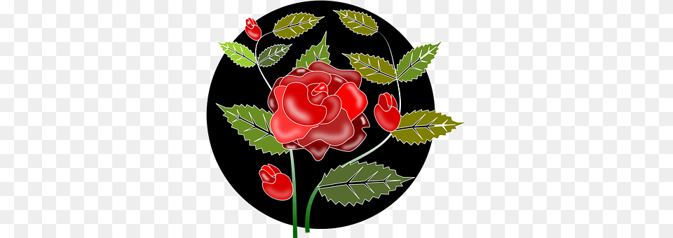 Rose Flower, Plant, Leaf, Dynamite Free Png