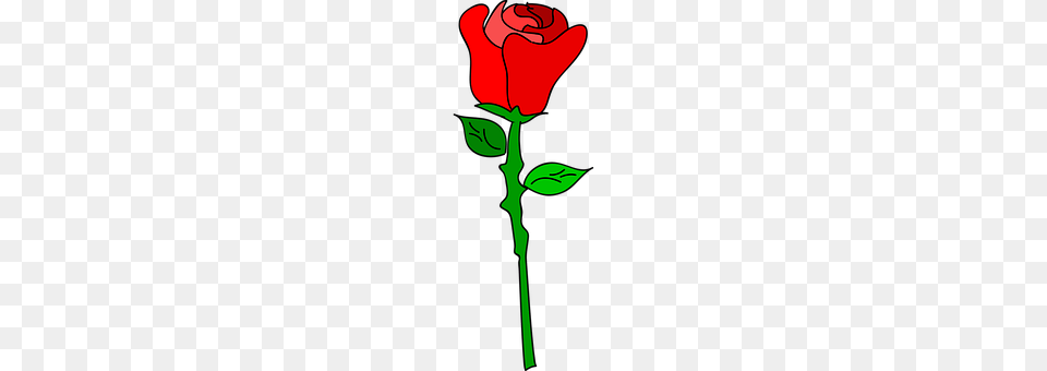 Rose Flower, Plant, Dynamite, Weapon Png Image