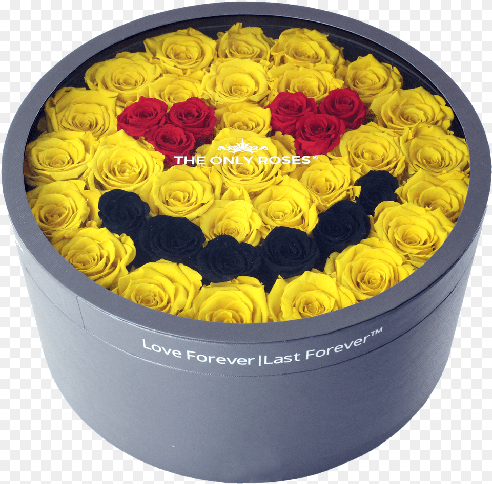 Rose Free Png Download
