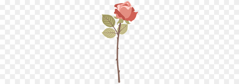 Rose Flower, Plant, Cross, Symbol Free Png Download