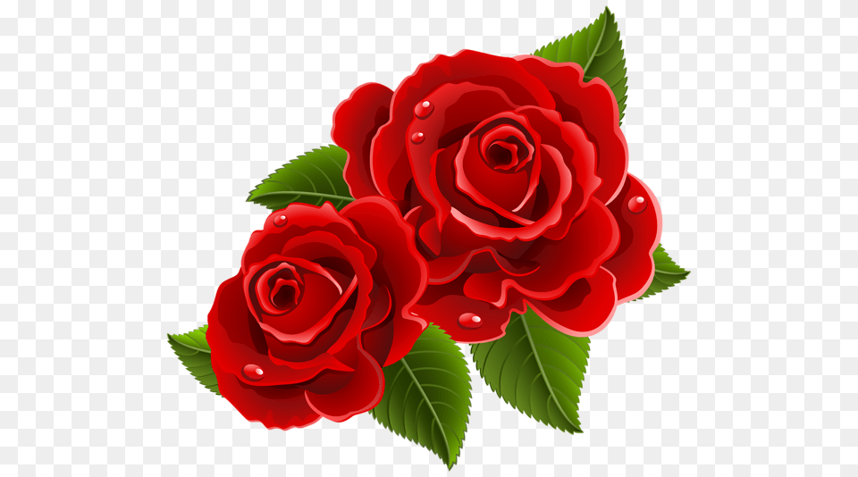 Rose, Flower, Plant Free Png Download