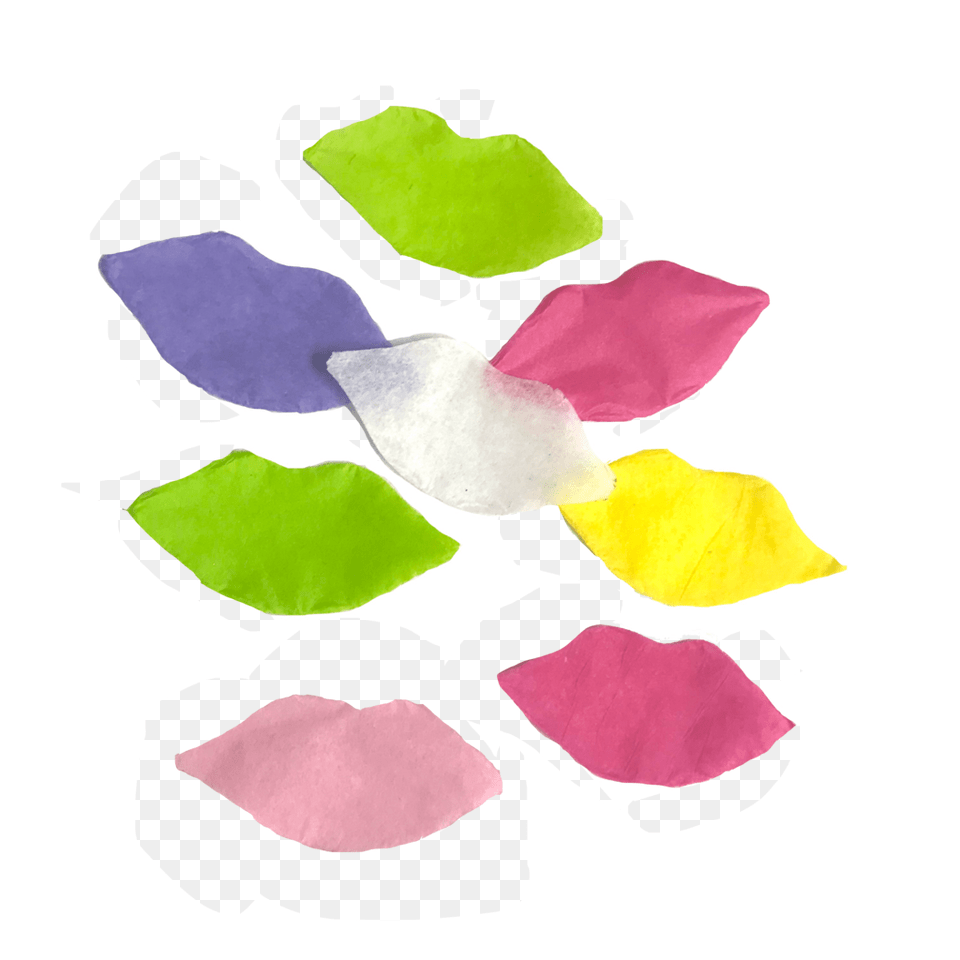 Rose, Flower, Petal, Plant, Paper Free Png