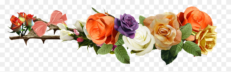 Rose Flower, Flower Arrangement, Flower Bouquet, Plant Free Png Download