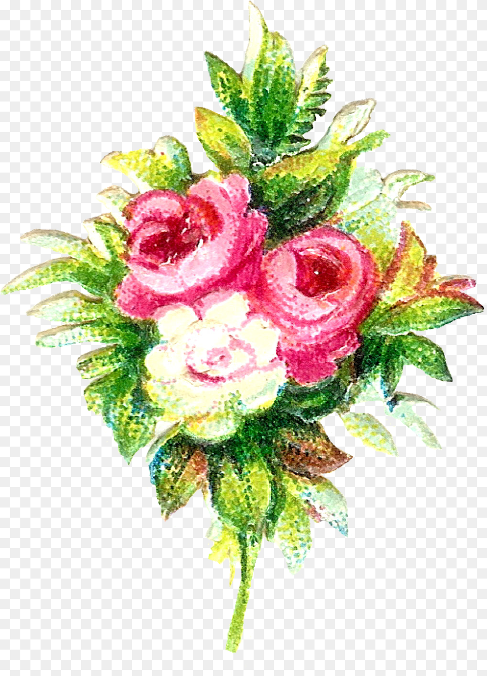 Rose, Plant, Pattern, Graphics, Flower Bouquet Png