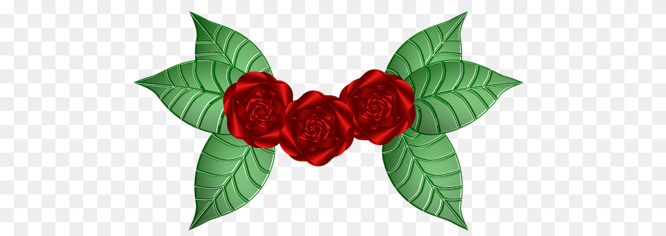 Rose Flower, Leaf, Plant Free Png Download