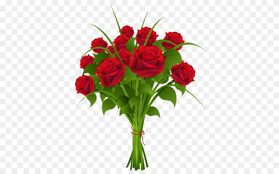 Rose, Flower, Flower Arrangement, Flower Bouquet, Plant Png