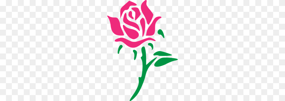 Rose Flower, Plant, Art, Graphics Png Image