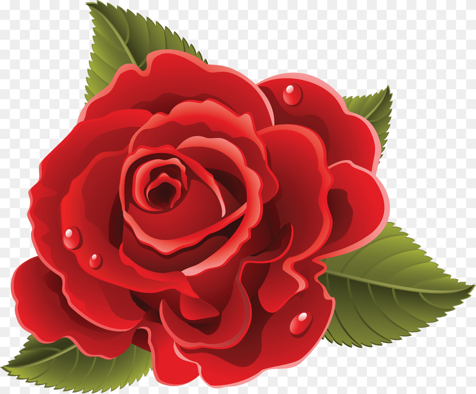 Rose, Flower, Plant, Dynamite, Weapon Free Png Download