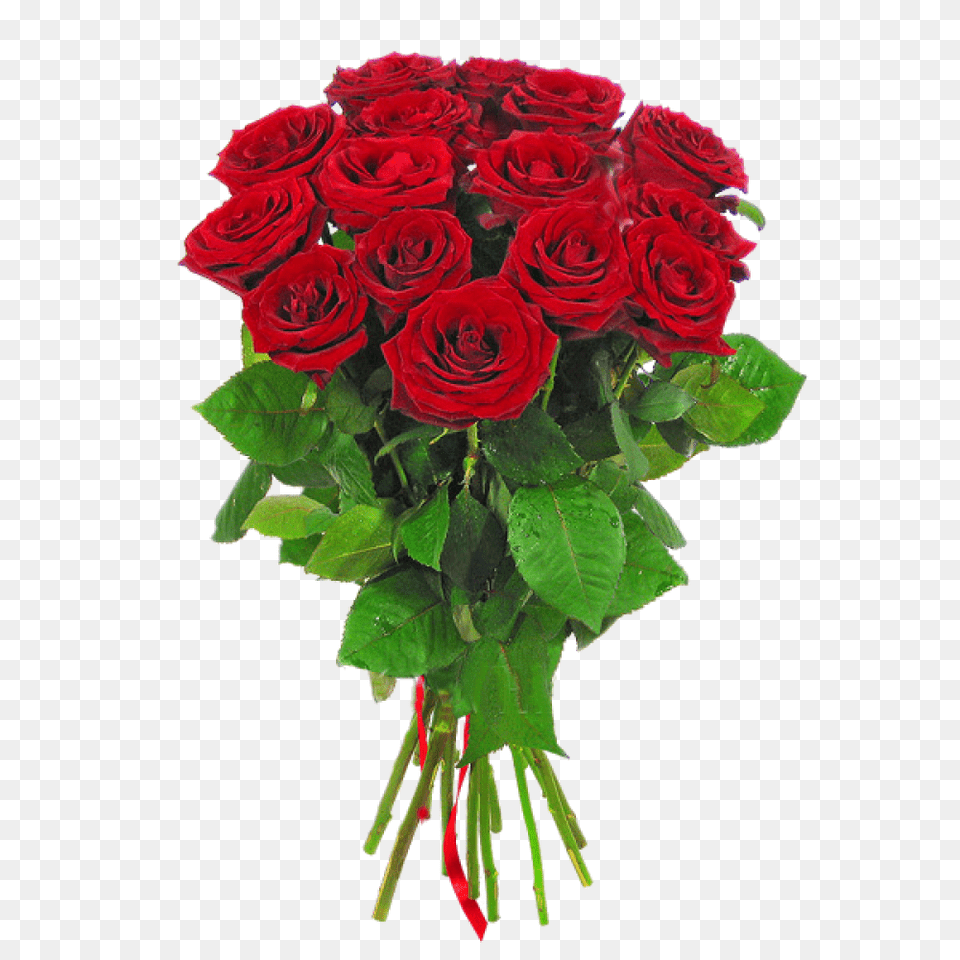 Rose, Flower, Flower Arrangement, Flower Bouquet, Plant Free Png