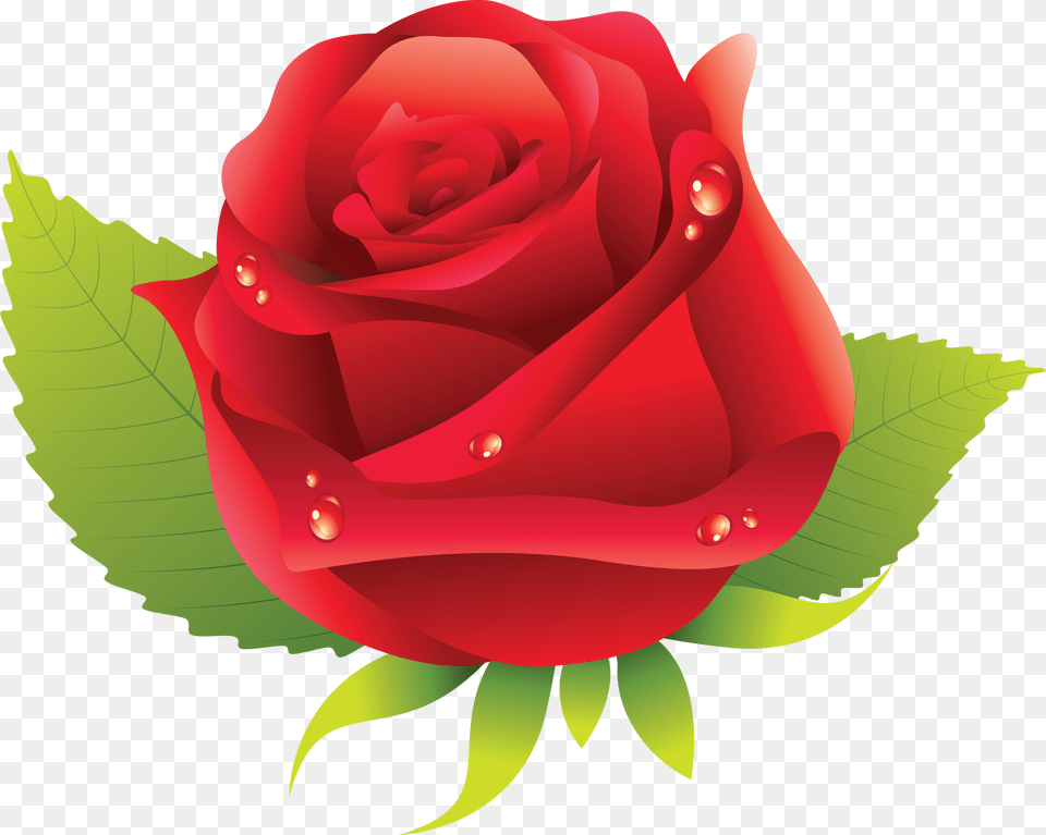 Rose, Flower, Plant, Bulldozer, Machine Free Png