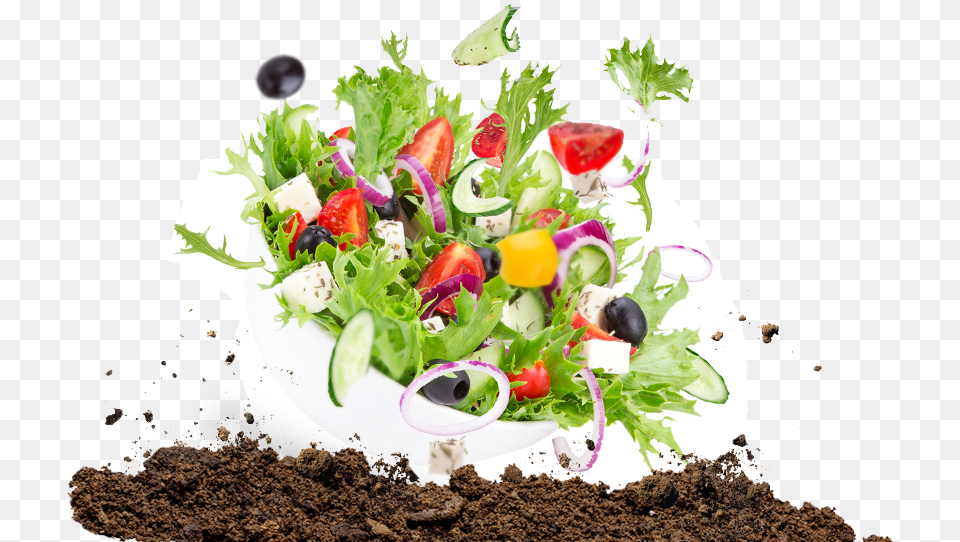 Rose, Food, Food Presentation, Plant Png