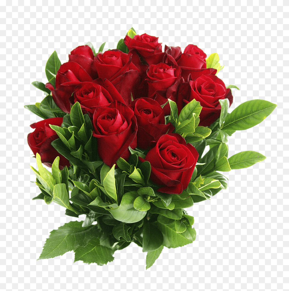 Rose, Flower, Flower Arrangement, Flower Bouquet, Plant Free Png