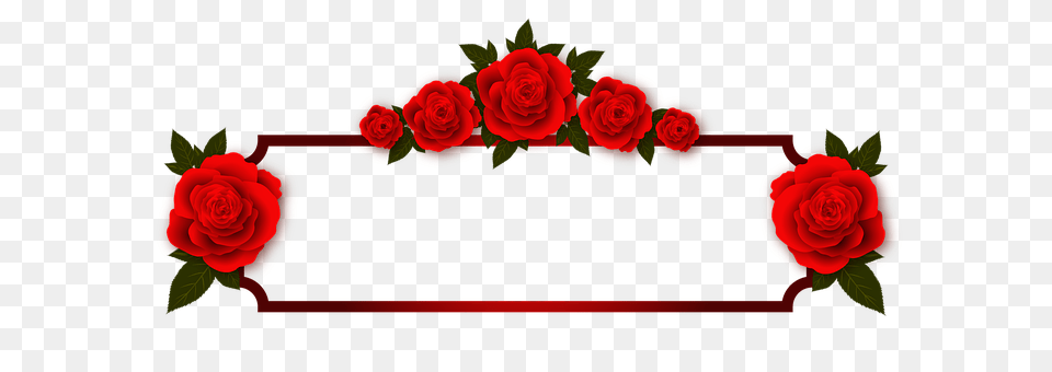 Rose Flower, Plant, Dynamite, Weapon Png Image