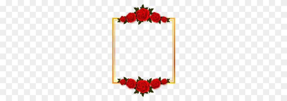Rose Flower, Plant Free Png Download