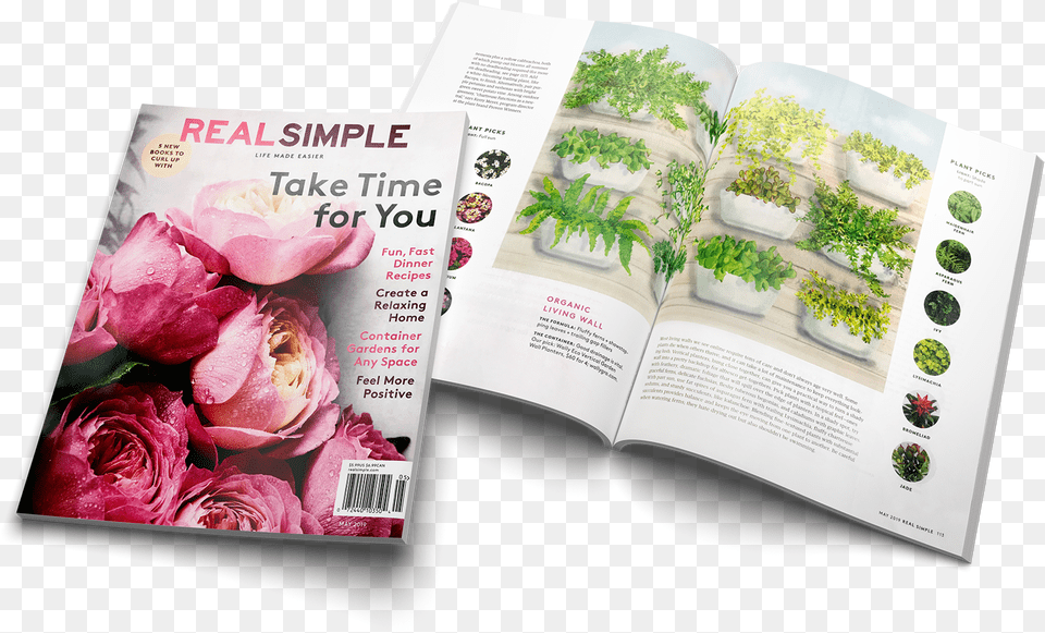 Rose, Advertisement, Poster, Publication, Book Free Png Download