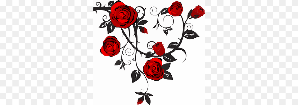 Rose Art, Floral Design, Flower, Graphics Png Image