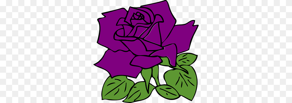 Rose Flower, Leaf, Plant, Purple Free Transparent Png