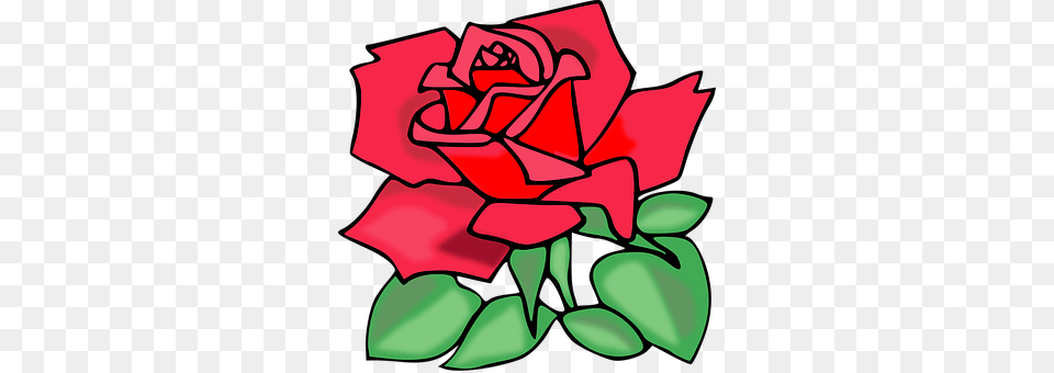 Rose Flower, Plant, Petal, Dynamite Free Png