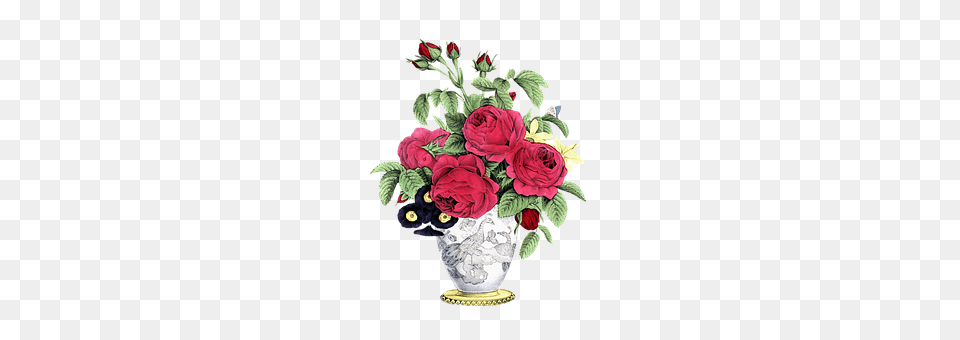 Rose Art, Plant, Pattern, Graphics Png