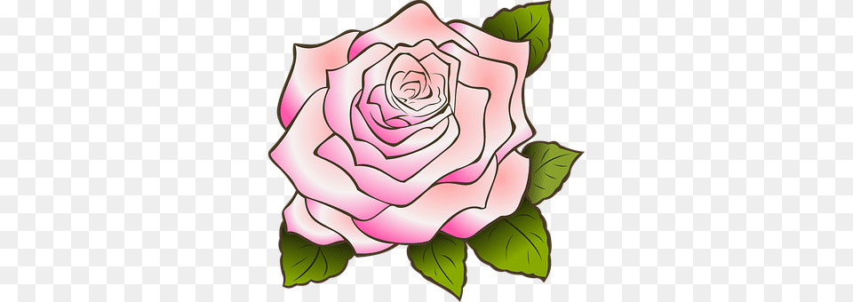 Rose Flower, Plant, Dynamite, Weapon Free Transparent Png