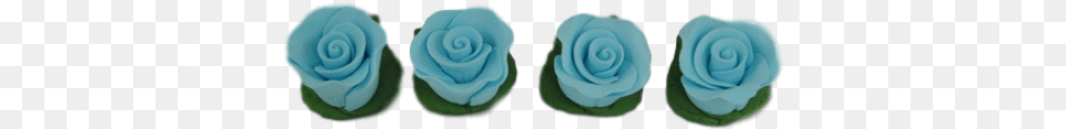 Rose, Cream, Dessert, Flower, Food Free Transparent Png