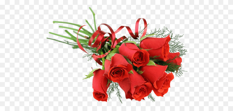 Rose, Flower, Flower Arrangement, Flower Bouquet, Plant Png