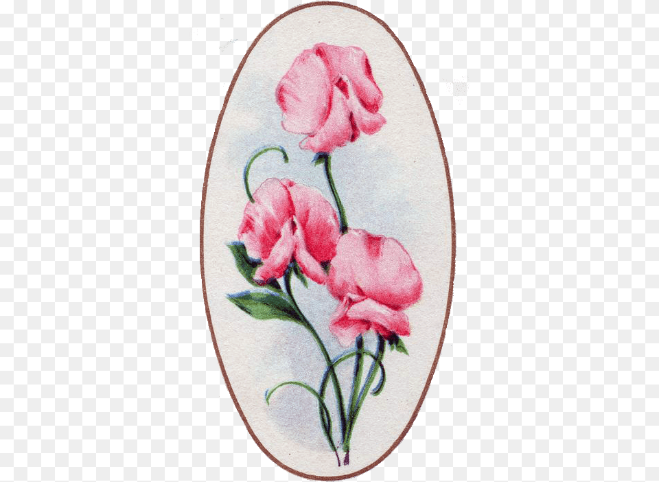 Rose, Embroidery, Pattern, Stitch, Flower Free Png