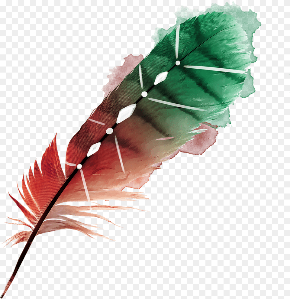 Rose, Leaf, Plant, Bottle, Person Free Transparent Png