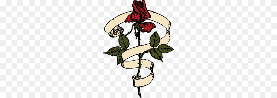 Rose Flower, Plant, Art, Chandelier Free Png Download