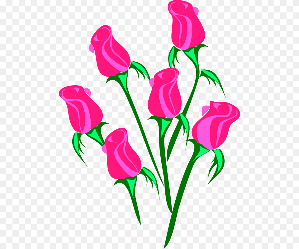 Rose, Flower, Plant, Art, Graphics Free Transparent Png
