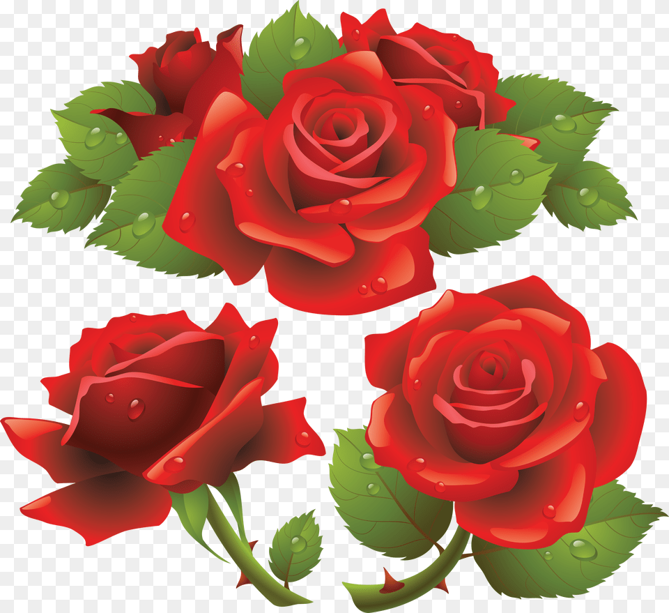 Rose, Flower, Plant, Dynamite, Weapon Free Png Download