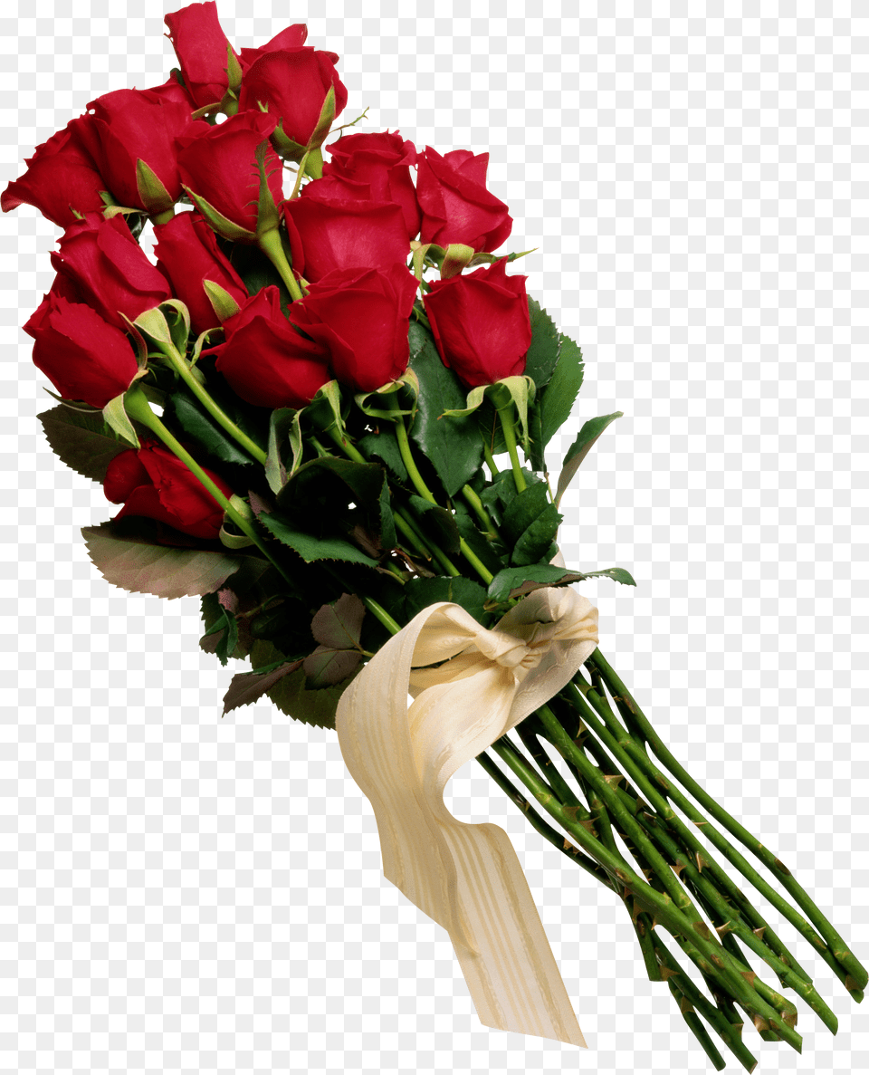 Rose, Flower, Flower Arrangement, Flower Bouquet, Plant Free Png Download