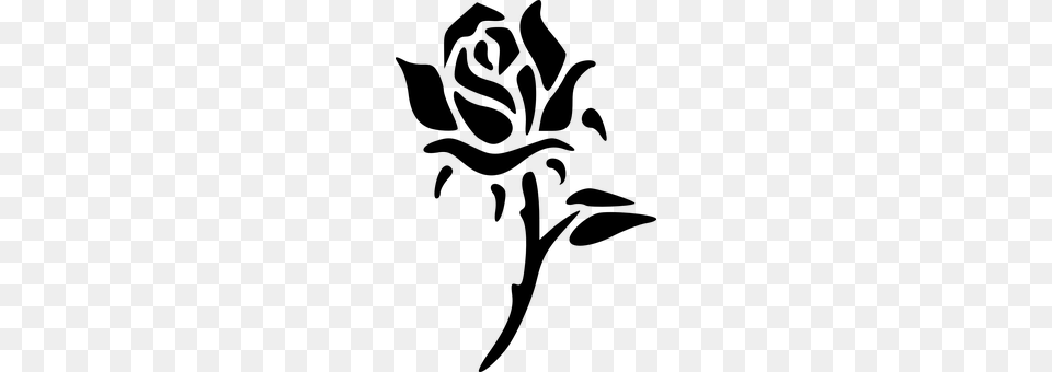 Rose Gray Png Image