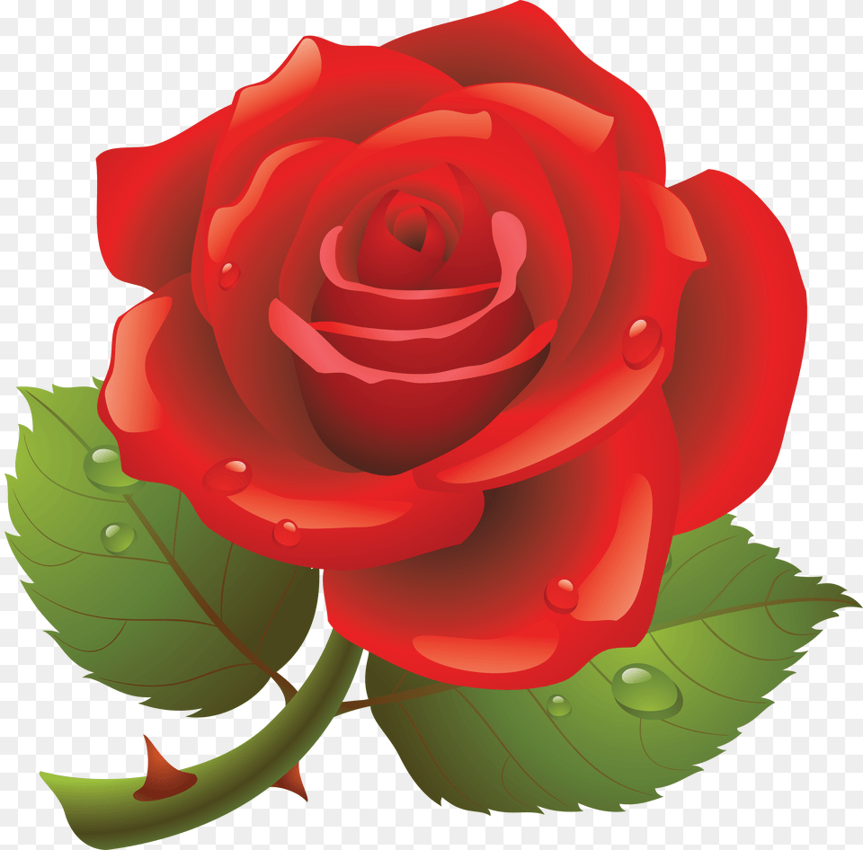 Rose, Flower, Plant, Dynamite, Weapon Png Image