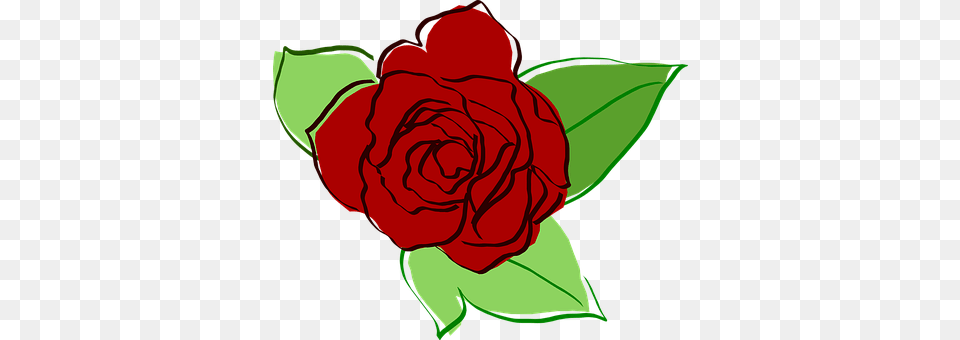 Rose Flower, Plant Free Transparent Png