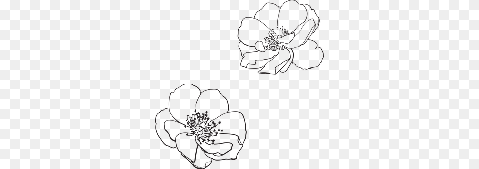 Rose Pattern, Flower, Plant, Art Free Png