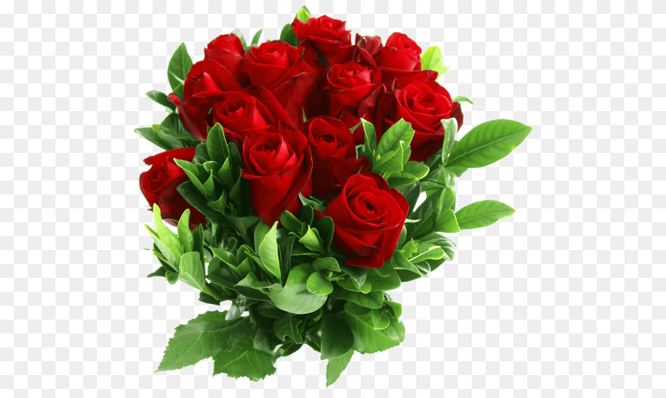 Rose, Flower, Flower Arrangement, Flower Bouquet, Plant Png