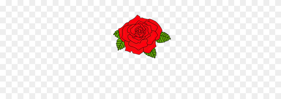 Rose Flower, Plant, Dynamite, Weapon Free Png