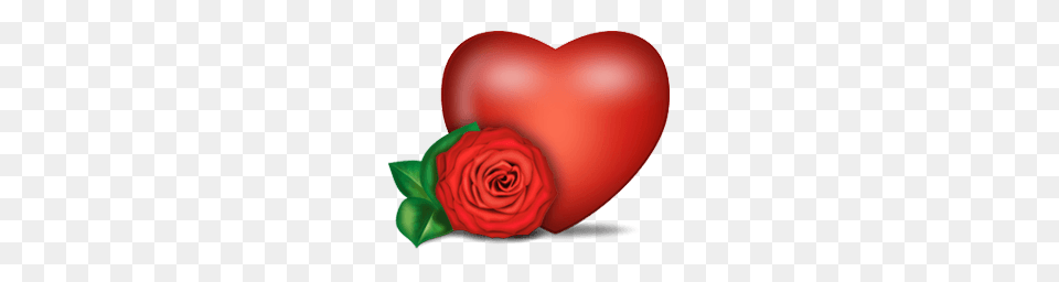 Rose And Heart, Flower, Plant, Birthday Cake, Cake Free Png