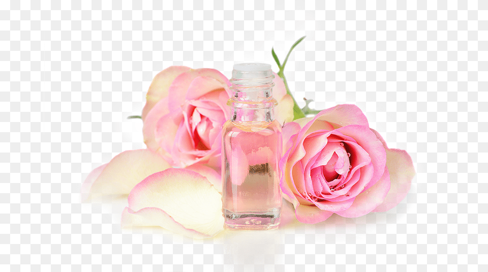 Rose Attar Rose Oil, Flower, Petal, Plant, Bottle Free Transparent Png