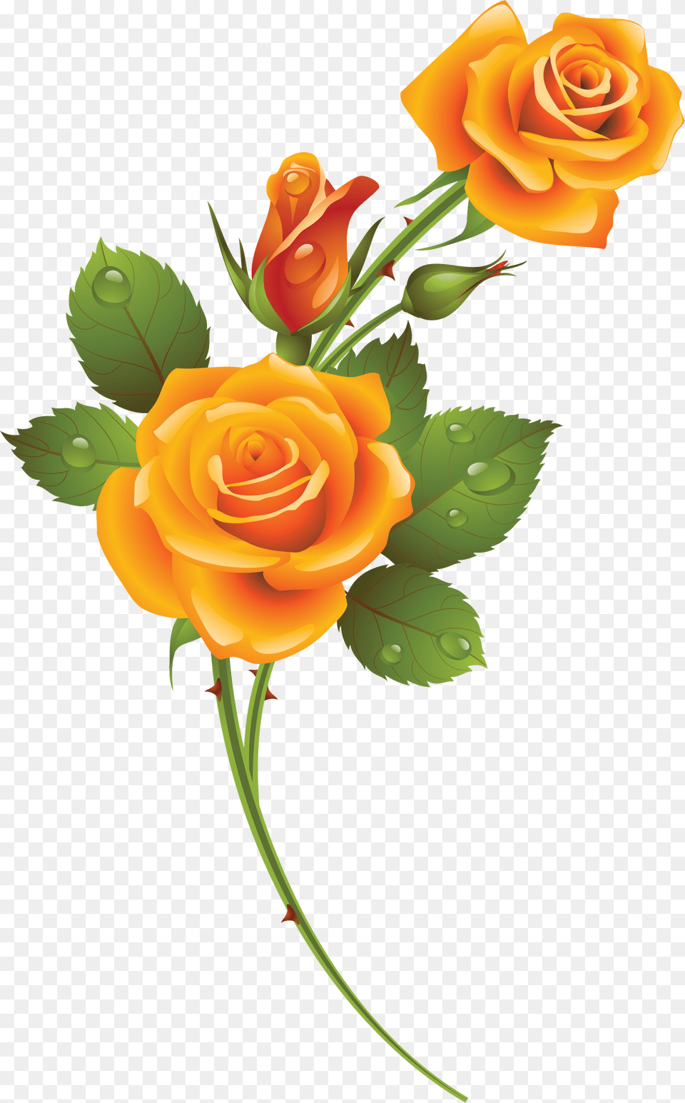 Rose Background Yellow Rose Transparent, Flower, Plant, Flower Arrangement, Flower Bouquet Png