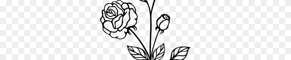 Rose Black And White Clipart Clipart Station, Gray Free Transparent Png