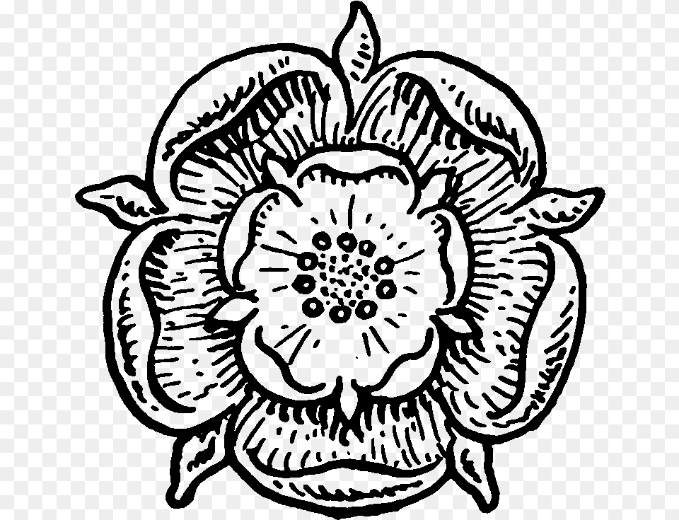 Rose Black And White Clipart Design Medieval Flowers Drawing, Gray Png