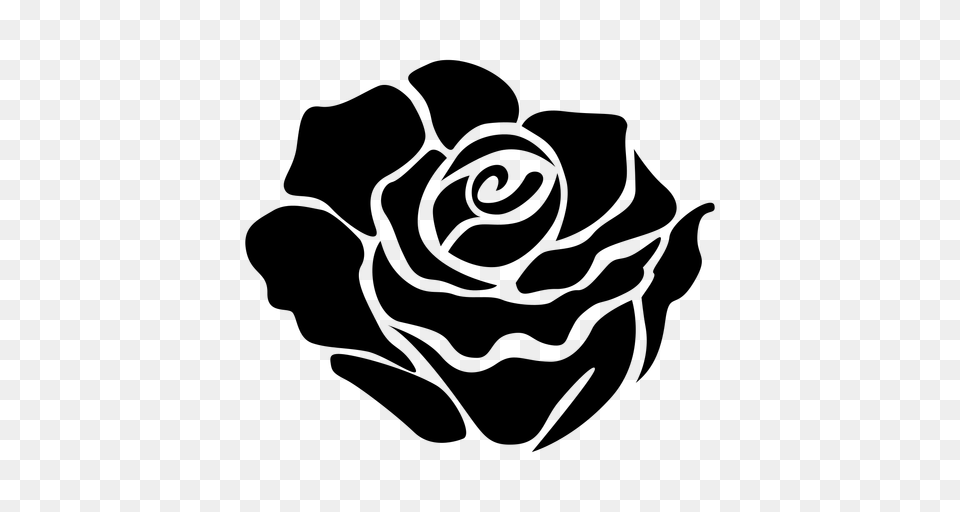 Rose Black And White Drawing Rose Vector Gray Free Png Download