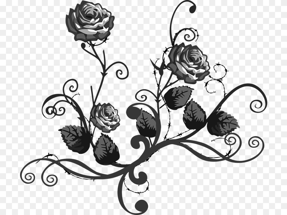 Rose Black White Clipart Black And White Flower, Art, Pattern, Graphics, Floral Design Free Transparent Png