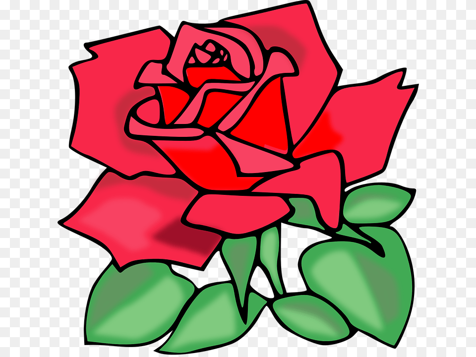Rose Blossom Clipart, Flower, Plant, Petal Free Png